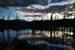 Ushuaia: Visita a los lagos Escondido y Fagnano PM