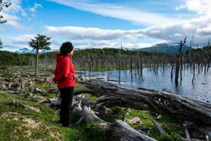 Ushuaia: Visita a los lagos Escondido y Fagnano PM