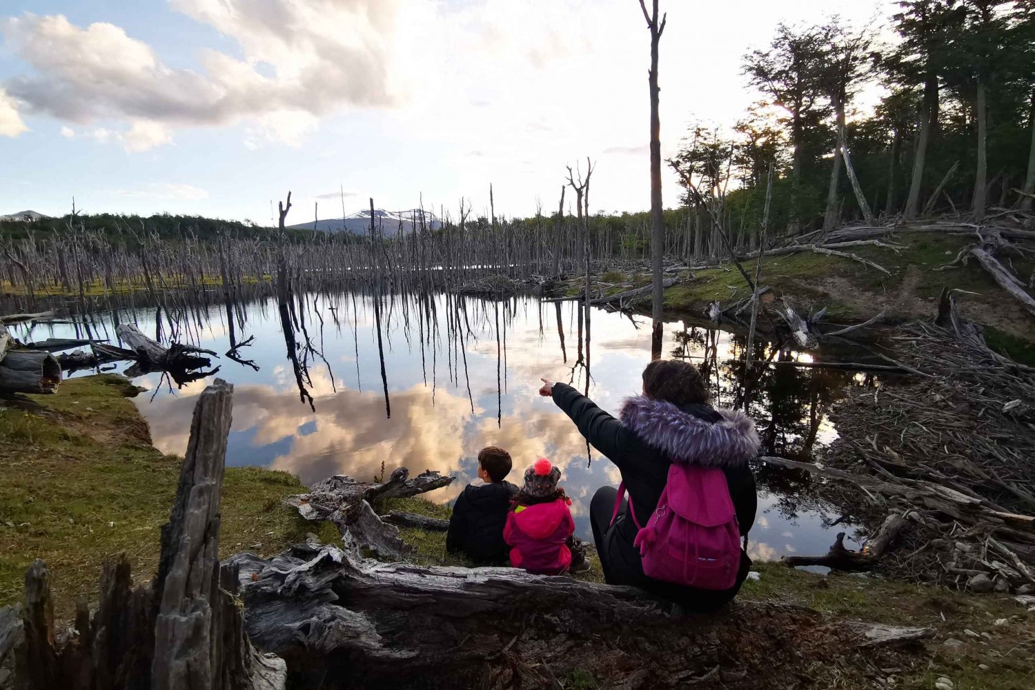 Ushuaia: Visita a los lagos Escondido y Fagnano PM