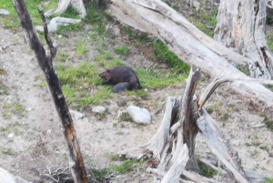 Ushuaia: Visita a los lagos Escondido y Fagnano PM