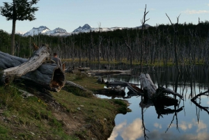 Ushuaia: Visita ai laghi Escondido e Fagnano PM