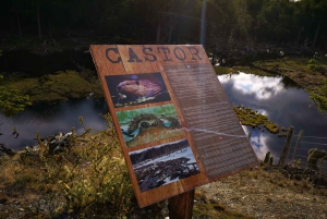 Ushuaia: Visita ai laghi Escondido e Fagnano PM