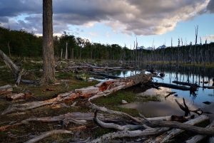 Ushuaia: Visita ai laghi Escondido e Fagnano PM