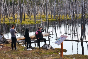 Ushuaia: Visita aos lagos Escondido e Fagnano PM