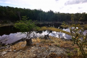 Ushuaia: Visita a los lagos Escondido y Fagnano PM