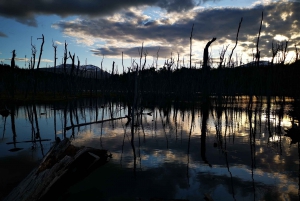 Ushuaia: Visita a los lagos Escondido y Fagnano PM