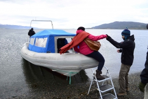 Ushuaia: Walking with Penguins Experience and Marine Museum