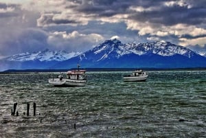 Ushuaia : Tour en bateau sur le canal de Beagle et découverte des pingouins