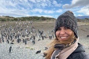 Ushuaia: Omvisning med båt i Beagle-kanalen og pingvinopplevelse