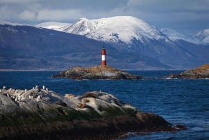 Ushuaia: Omvisning med båt i Beagle-kanalen og pingvinopplevelse