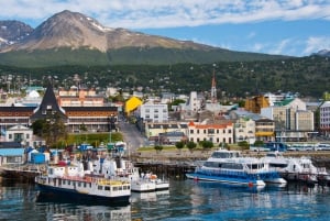 Ushuaia: Omvisning med båt i Beagle-kanalen og pingvinopplevelse