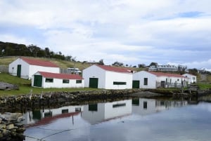 Ushuaia: museo marittimo e esperienza con pinguini