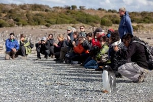 Ushuaia: Bådtur i Beagle-kanalen og pingvinoplevelse