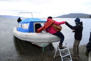 Ushuaia : Tour en bateau sur le canal de Beagle et découverte des pingouins