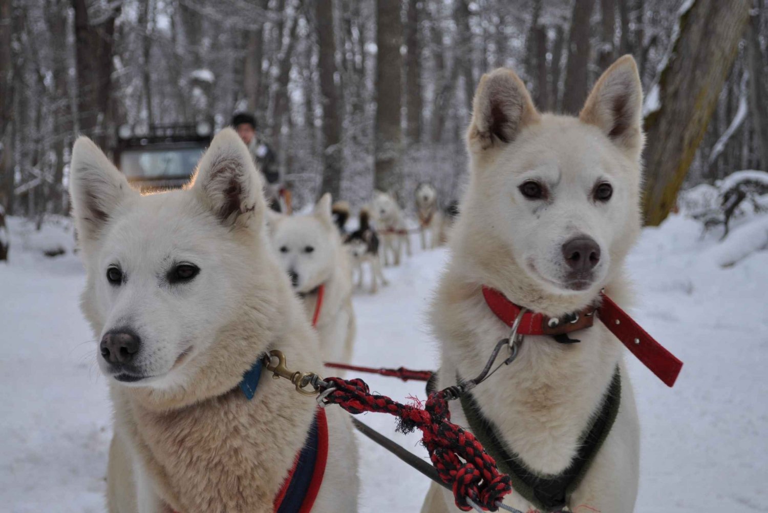 USHUAIA | White Adventure