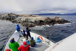 Ushuaia: Jachtnavigatie in Beaglekanaal en vuurtoren