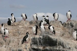 Ushuaia: Jachtnavigatie in Beaglekanaal en vuurtoren