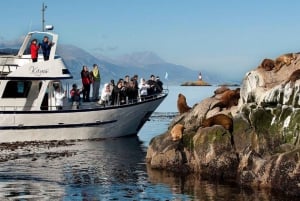 Ushuaia: Jachtnavigatie in Beaglekanaal en vuurtoren