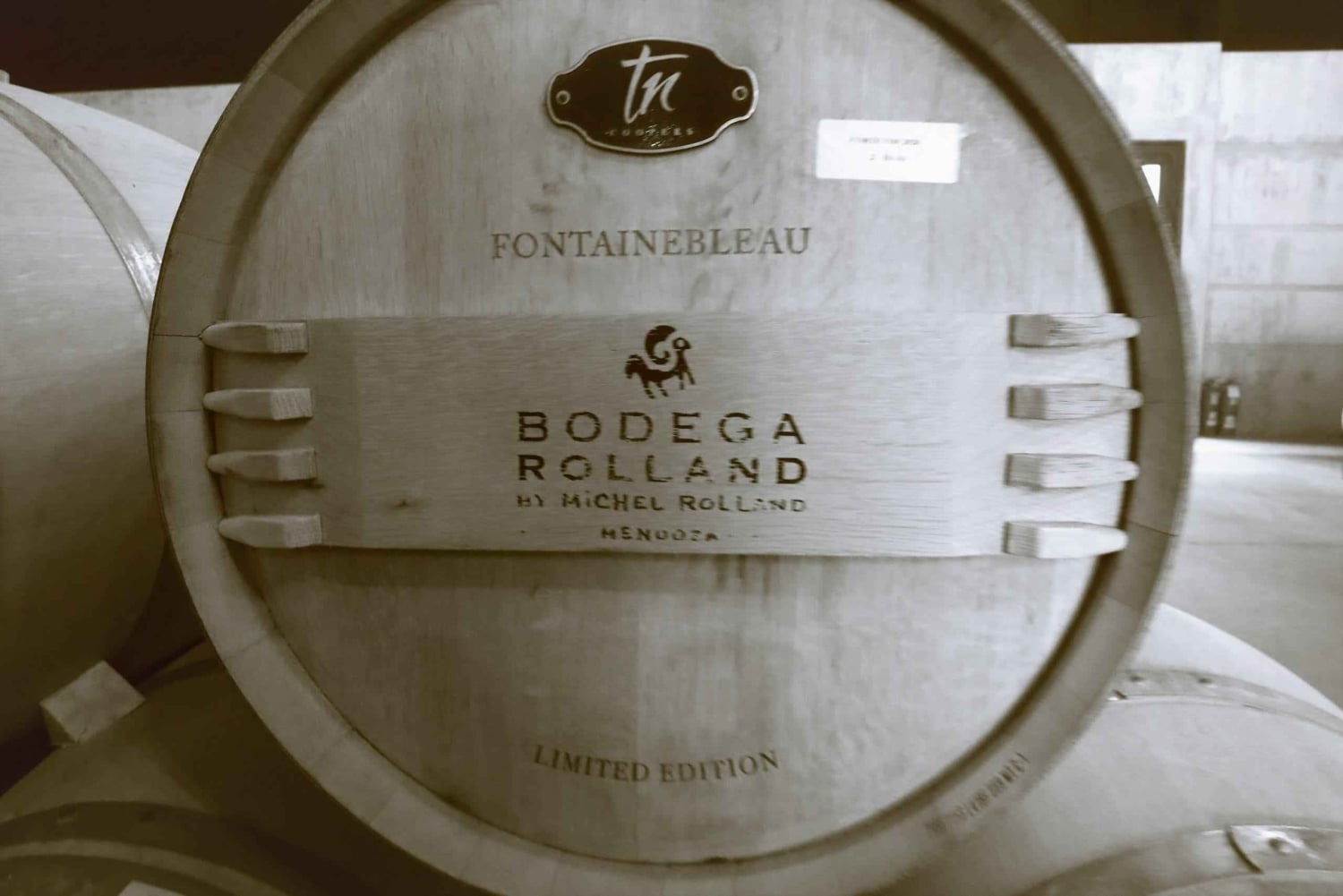 Valle de Uco: ylellinen viinikokemus ja gourmet-lounas