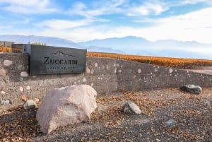 Valle de Uco: ylellinen viinikokemus ja gourmet-lounas