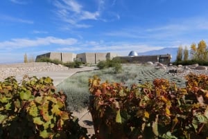 Valle de Uco: ylellinen viinikokemus ja gourmet-lounas