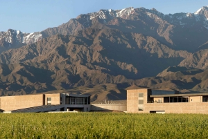 Valle de Uco: ylellinen viinikokemus ja gourmet-lounas