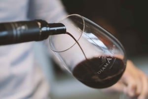 Valle de Uco: ylellinen viinikokemus ja gourmet-lounas