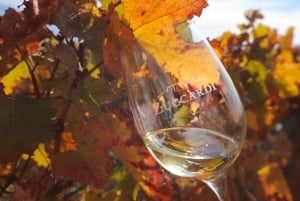 Valle de Uco: ylellinen viinikokemus ja gourmet-lounas