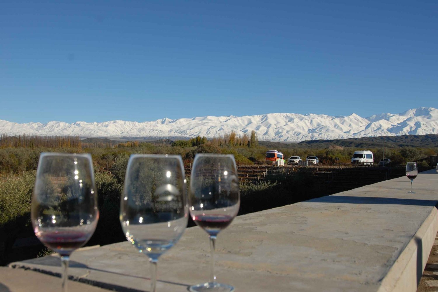 Valle de Uco: Private Full Day Wine Tour with 3-Course Lunch