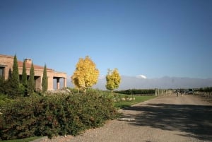 Valle de Uco: Tour de vino privado de día completo con almuerzo de 3 platos