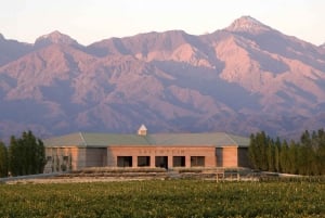Valle de Uco: Tour de vino privado de día completo con almuerzo de 3 platos