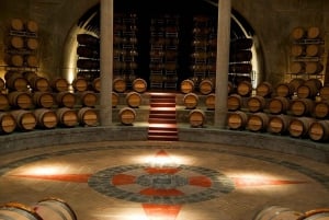 Valle de Uco: Tour de vino privado de día completo con almuerzo de 3 platos