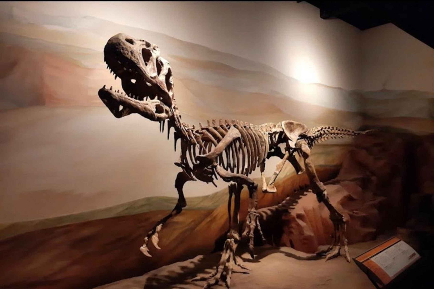 Valle inferior del Rio Chubut