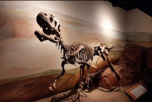 Valle inferior del Rio Chubut