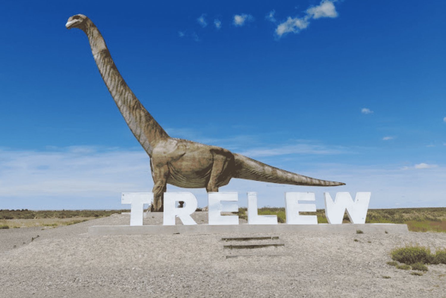 Valley + Paleontological Museum for cruise passengers