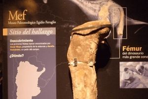 Valley + Paleontologiskt museum för kryssningspassagerare