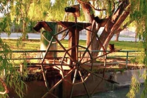 Valley + Paleontologiskt museum för kryssningspassagerare