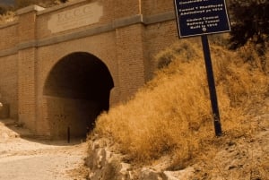 Valley + Paleontologiskt museum för kryssningspassagerare