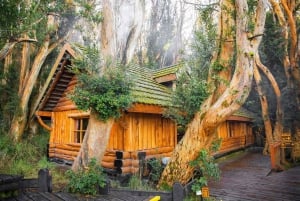 Bariloche : Navigation sur l'île Victoria et la forêt d'Arrayanes