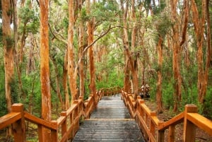 Bariloche: Victoria Island und Arrayanes Forest Navigation