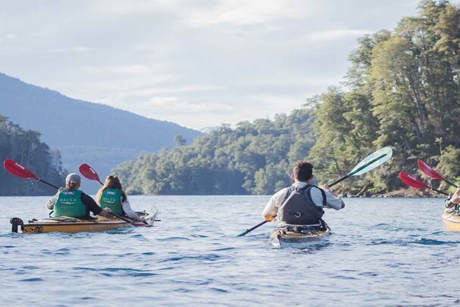 Villa la Angostura: tour de medio día en kayak con pícnic