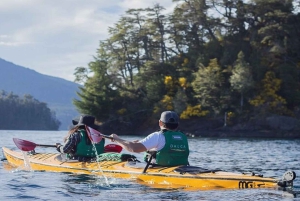 Villa la Angostura: tour de medio día en kayak con pícnic
