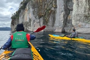 Villa la Angostura: tour de medio día en kayak con pícnic