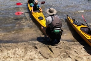 Villa la Angostura: tour de medio día en kayak con pícnic