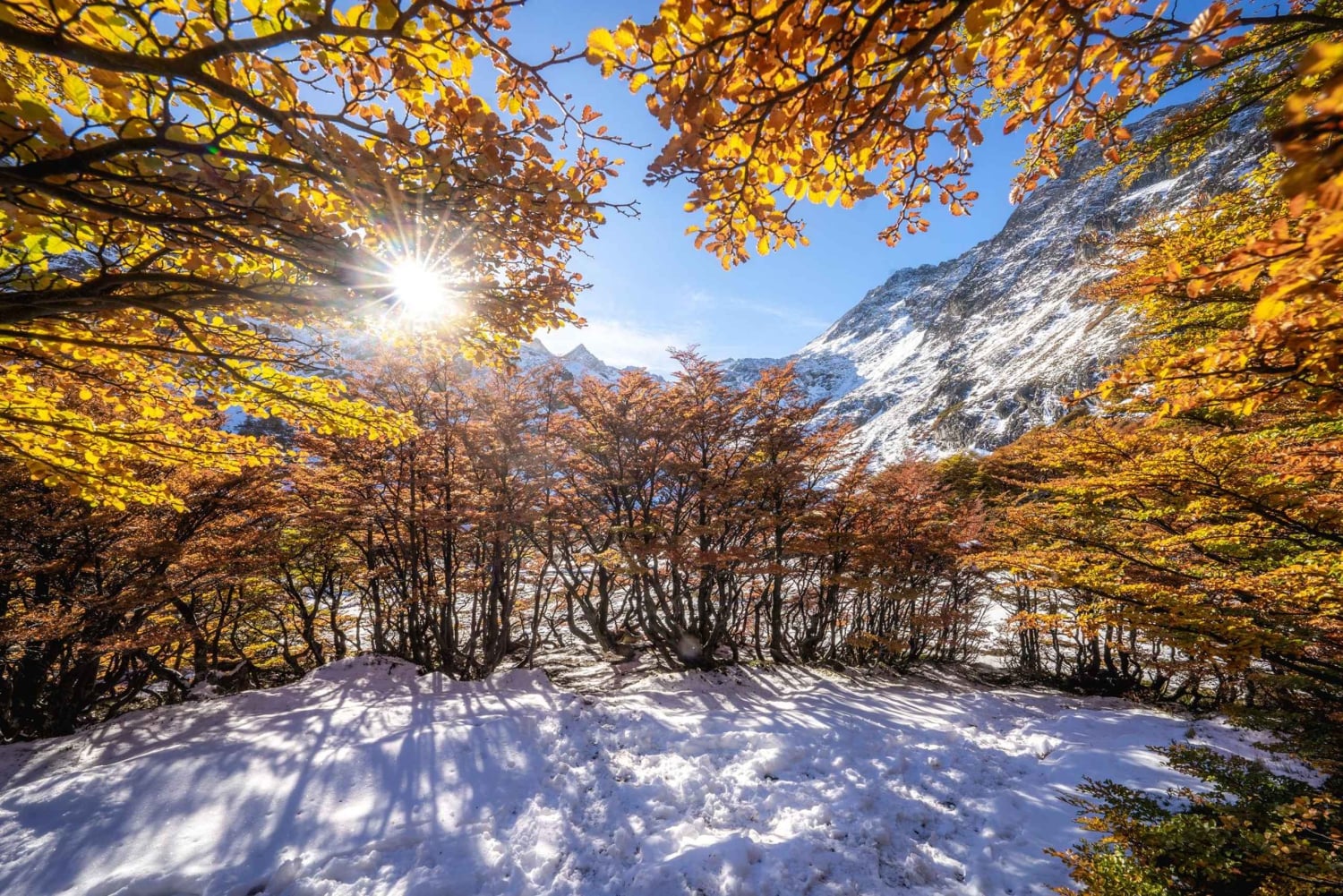 Vinciguerra Ice Experience