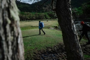 Vinciguerra Ice Experience