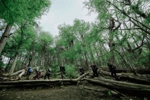 Vinciguerra Ice Experience