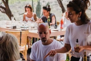 Visita 3 Bodegas Familiares con Comida y Traslado Incluidos