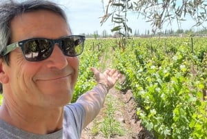 Visite de 3 vignobles familiaux avec déjeuner et transfert inclus