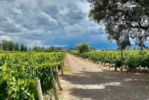 Visita 3 Bodegas Familiares con Comida y Traslado Incluidos